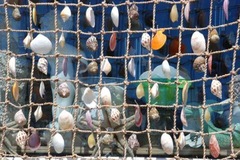 Colorful sea shells hanging on fishing netting. Beach theme background Stock Photos