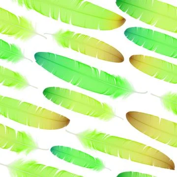 Colorful seamless feather vector pattern Stock Illustration