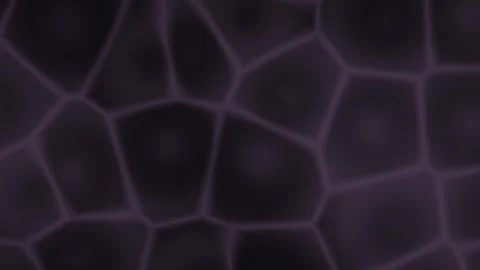 Colorful seamless loop for motion background in live Stock Footage 340566171