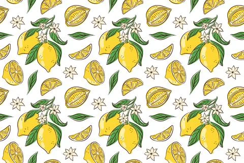 Colorful seamless pattern with hand drawn lemon, leaf and flower on a white Stock Illustration