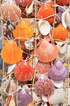 Colorful Seashell Wind Chime Stock Photos