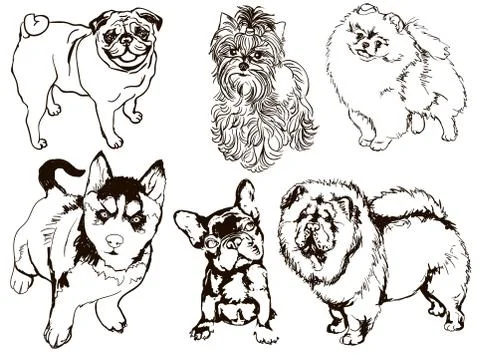 Colorful set of illustrations of dogs of different breeds Stock Illustration