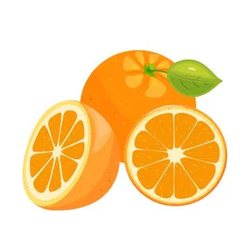 Colorful set of oranges from whole, segment and slice of orange on white Stock Illustration