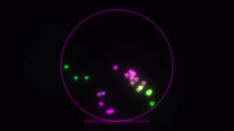 Colorful shapes moving in a circular pattern with a dark Stock Footage 338242249
