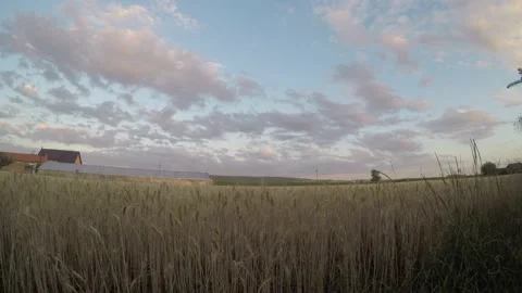 Colorful sheep clouds over a wheat field in Transylvania Stock Footage 201363450