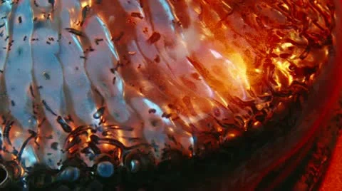 Colorful shell, pan left Video stock 12721939