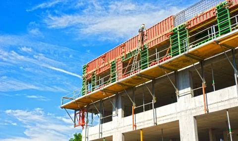 Colorful shell Stock Photos