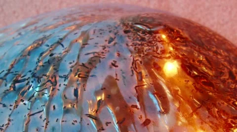 Colorful shell, tilt up Video stock 12722047