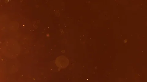 Colorful Shining Circular Particle Stock Footage 104681306
