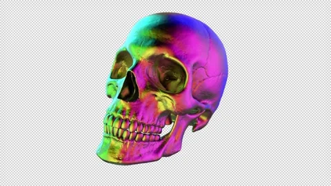 Colorful skull rotating - 3d render looped with alpha channel. 動画素材 337051766