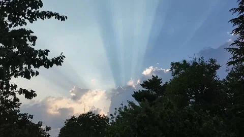 Colorful sky cloud natural background. Timelapse video. Stock Footage 339017571