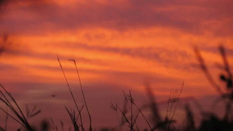 Colorful Sky on Sunset Vídeo Stock 157671882