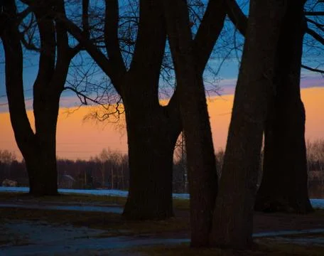 Colorful sky with trees Foto stock