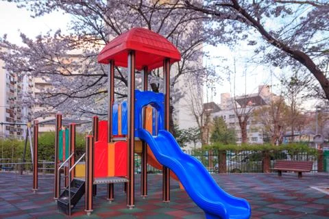 Colorful slide on playground with cherry blossom flower Stock Photos