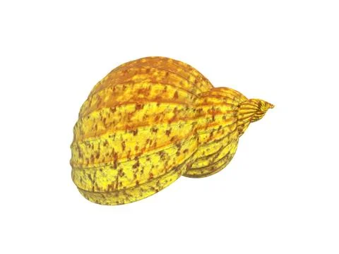 Colorful snail shells twisted Stock Illustration
