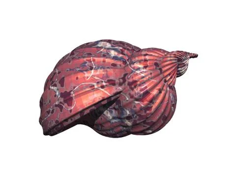 Colorful snail shells twisted Stock Illustration