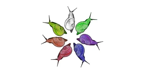 Colorful snails dancing  Stock Footage 128602622
