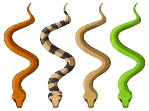 Colorful Snakes in Vector Illustration 스톡 일러스트