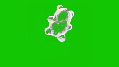 Colorful Soap Bubbles Floating and Popping Video stock 341541542