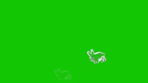 Colorful Soap Bubbles Floating and Popping Video stock 341541551