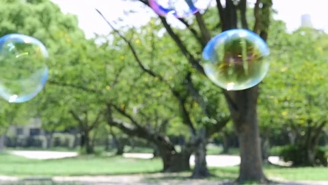 Colorful soap bubbles floating in green park, slow motion Stock Footage 79434463