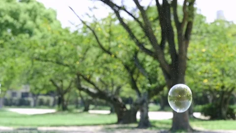 Colorful soap bubbles floating in green park, slow motion Stock Footage 79434531