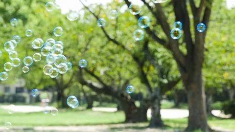 Colorful soap bubbles floating in green park, slow motion Stock Footage 79476682