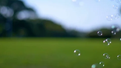 Colorful soap bubbles floating in green park, slow motion Stock Footage 79517973