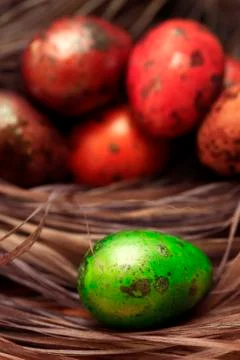 Colorful Speckled Easter Egg close up Stock Photos
