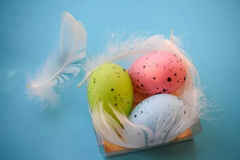 Colorful Speckled Easter Eggs with Soft White Feathers on Blue Surface Stock Photos