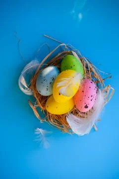 Colorful Speckled Easter Eggs with Soft White Feathers on Blue Surface Stock Photos