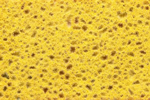 Colorful Sponge Texture Background Stock-Fotos