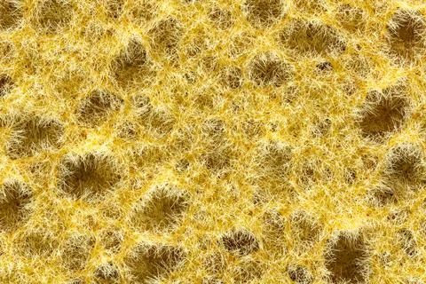 Colorful Sponge Texture Background Stock Photos