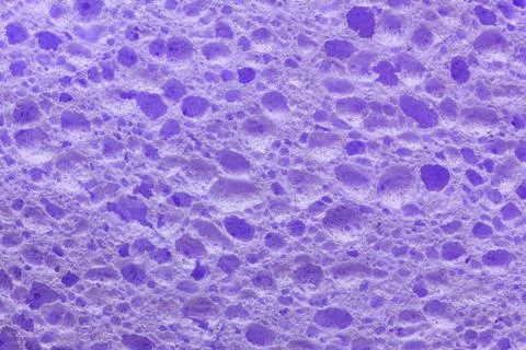A colorful sponge texture Stock Photos