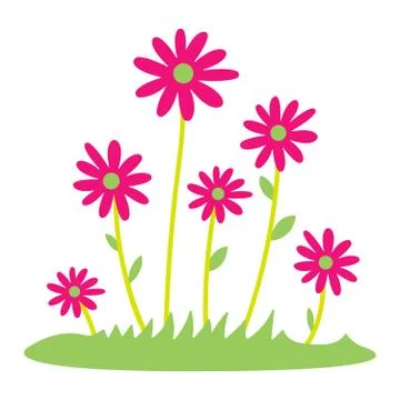 Colorful spring daisy flowers Vector illustration. grass and wild flowers Stock Illustration