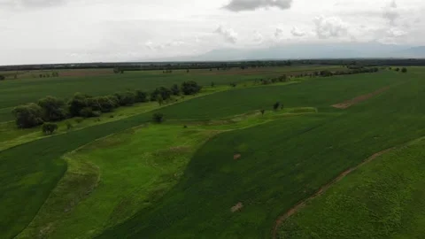 Colorful spring fields. Green spring landscape. Countryside. May. Aerial video. Stock Footage 148145440