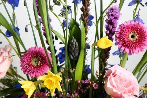 Colorful Spring Floral Arrangement Stock Photos