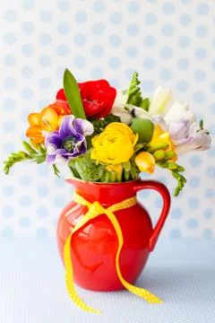 Colorful spring flowers Stock Photos