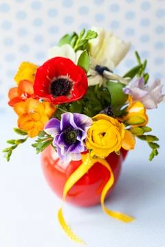 Colorful spring flowers Stock Photos