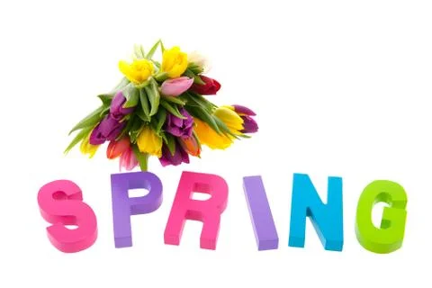 Colorful spring with tulips Stock Illustration