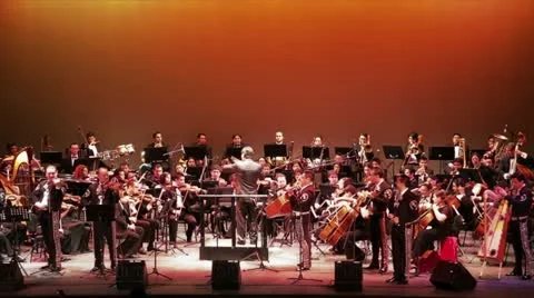 Colorful stage with the orchestra Stock Footage 18934093