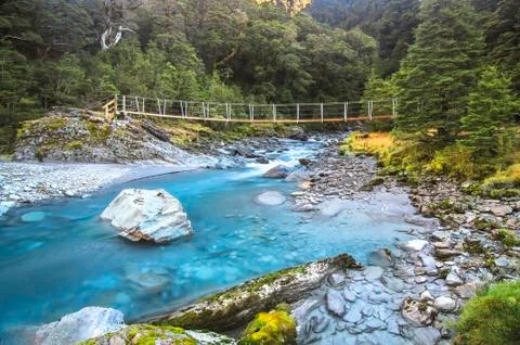 A colorful stream flows through a dense forest in New Zealand Stock Photos