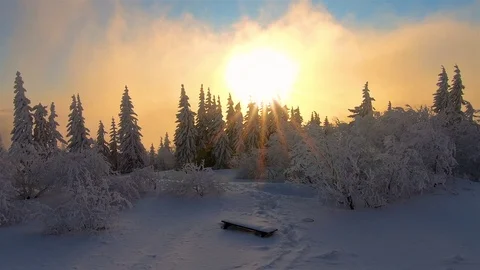 Colorful sun light of Sunset over snowy forest in frozen winter landscape nature Stock Footage 122067589