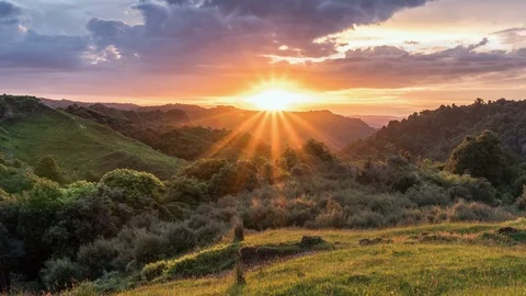 Colorful sunrise morning over green nature in New Zealand countryside landscape Stock Footage