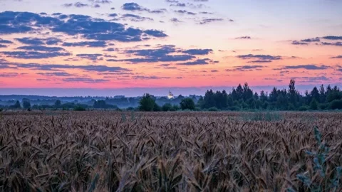 Colorful sunrise in rural with a sun shining over rye field and a church. Stock Footage 157264341
