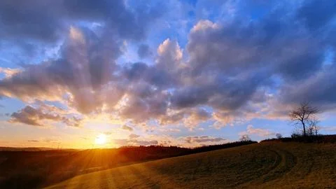 Colorful sunset background with abstract clouds and trees. Photos