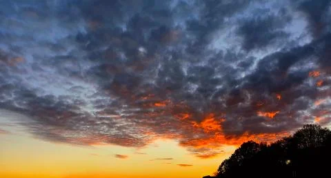 Colorful sunset background with abstract clouds and trees. Photos