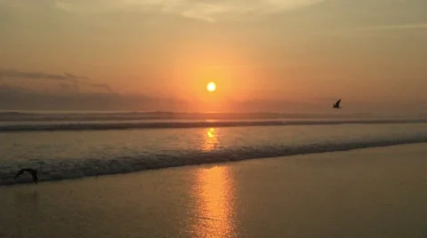 Colorful Sunset at Beach Stock Footage 48937780