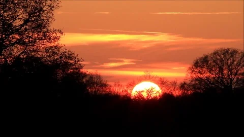 Colorful sunset behind trees in the nature Stock Footage