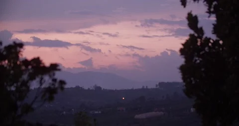 Colorful Sunset in Between Trees Video stock 194854253